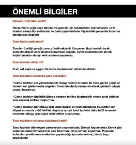 Kanvas Tuval Tablo Dalda Krem Çiçekler Kod: EYL150
